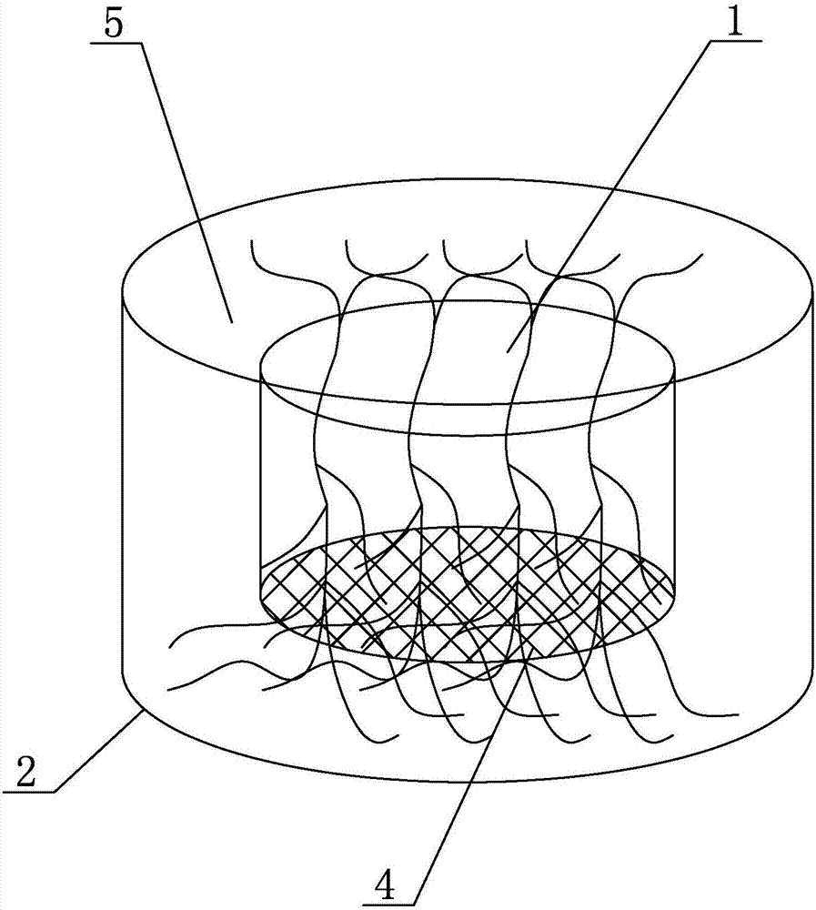 Device and method for extracting in situ root exudates of arbuscular mycorrhizal plants