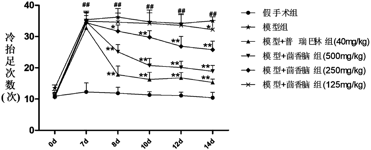 Application of anethole in preparing drug for treating neuropathic pain