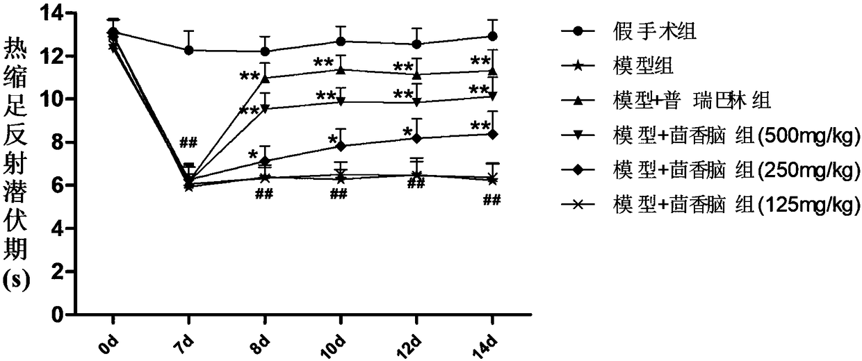 Application of anethole in preparing drug for treating neuropathic pain