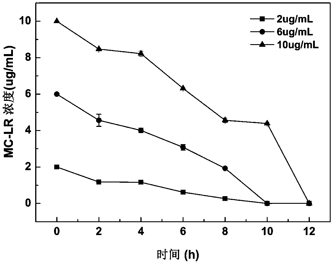 Microbial magnetic chitosan nano material, preparation method thereof and application thereof in microcystic toxin degradation
