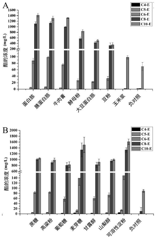 A culture method of Burkholderia cepacia and its application in catalytic synthesis of liquor flavor esters and degradation of liquor harmful esters