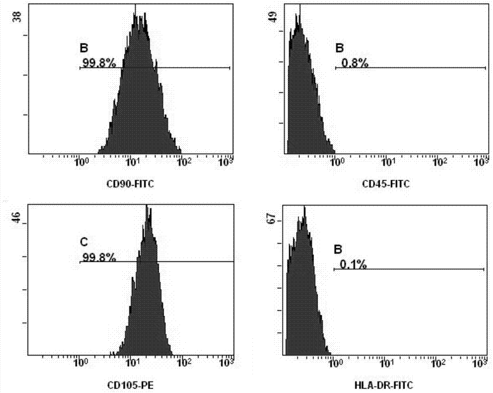 Method of utilizing human umbilical cord mesenchymal stem cells as feed layer to culture human induced pluripotent stem cells