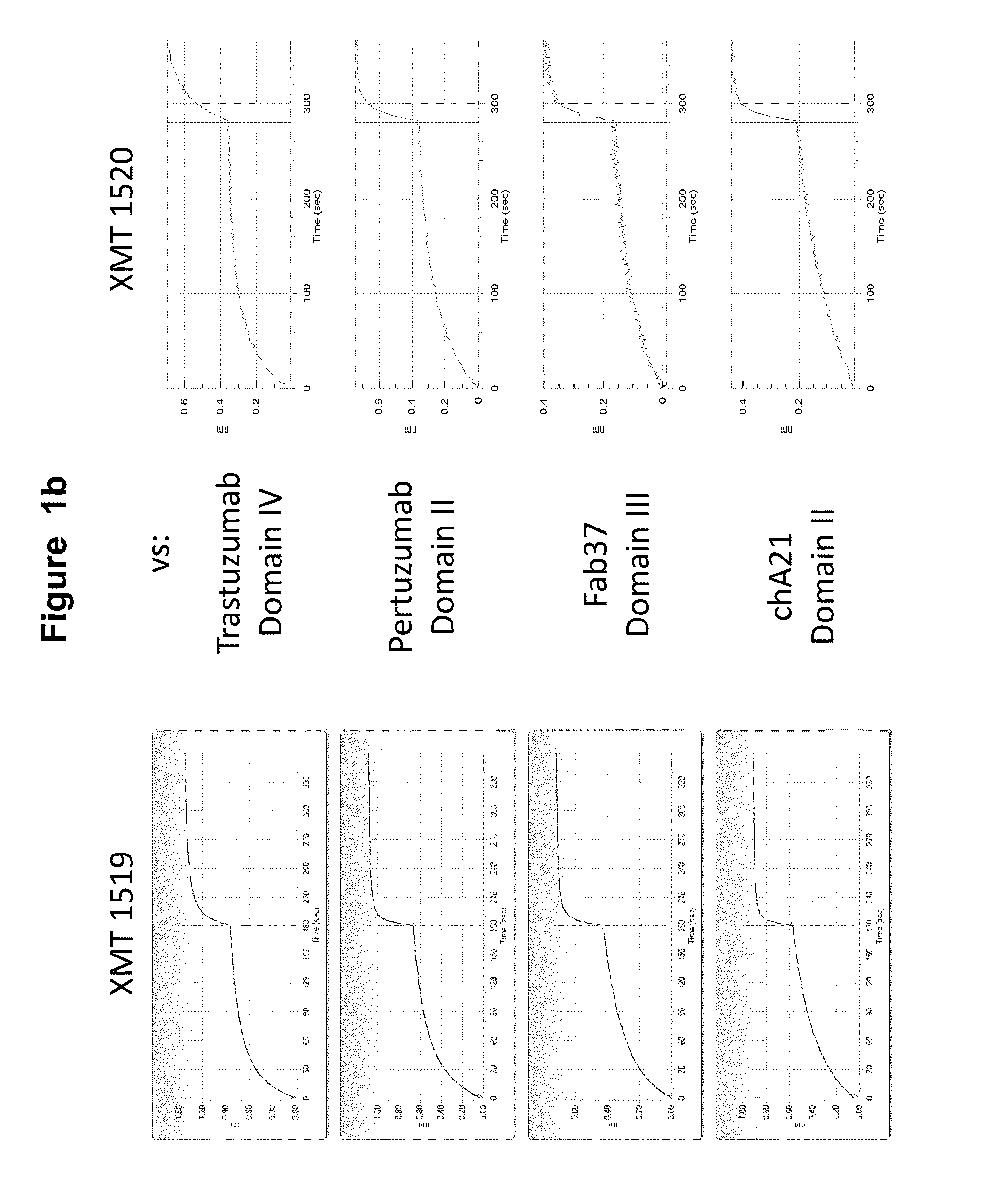 Monoclonal antibodies against her2 epitope and methods of use thereof