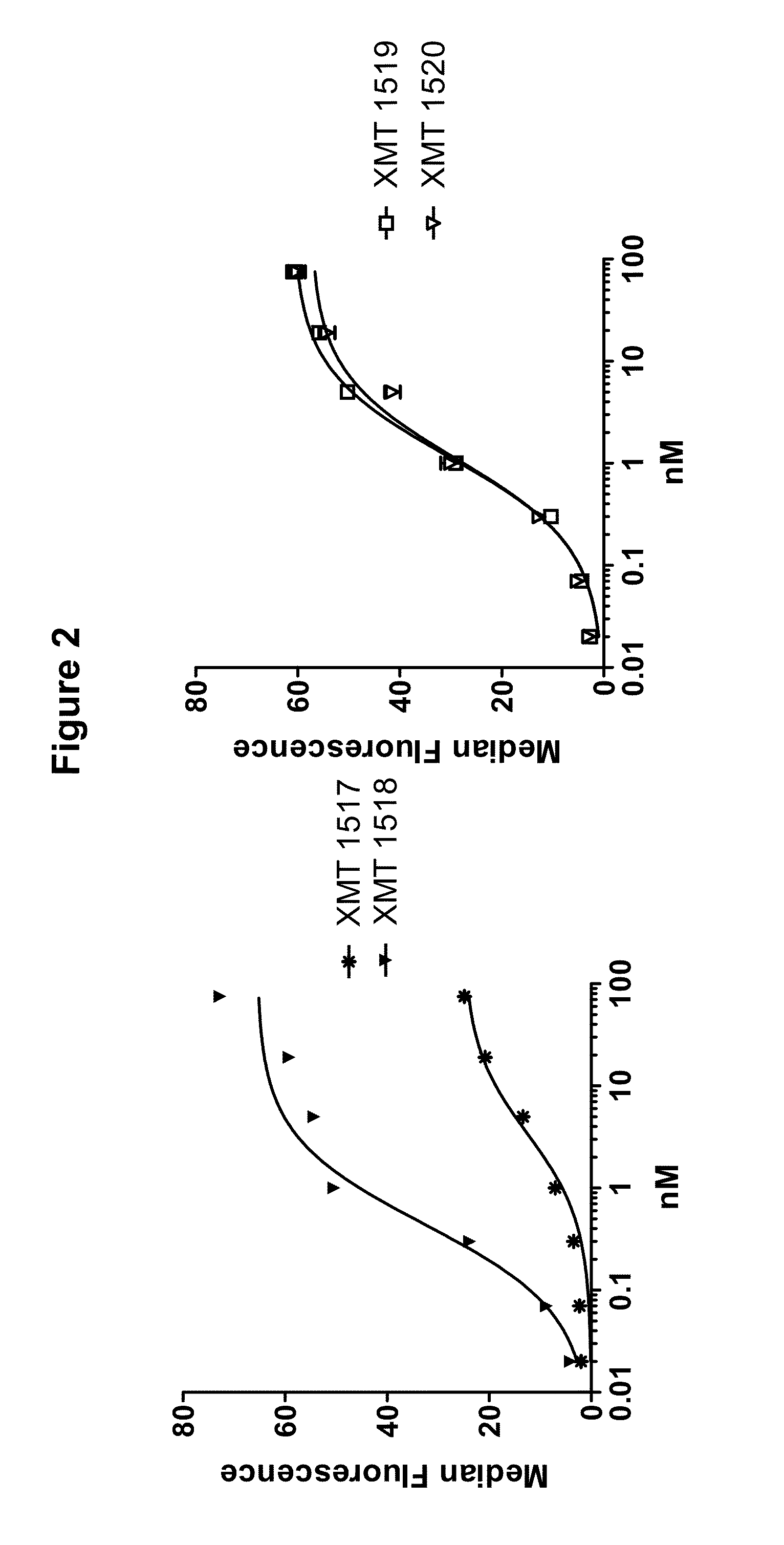 Monoclonal antibodies against her2 epitope and methods of use thereof