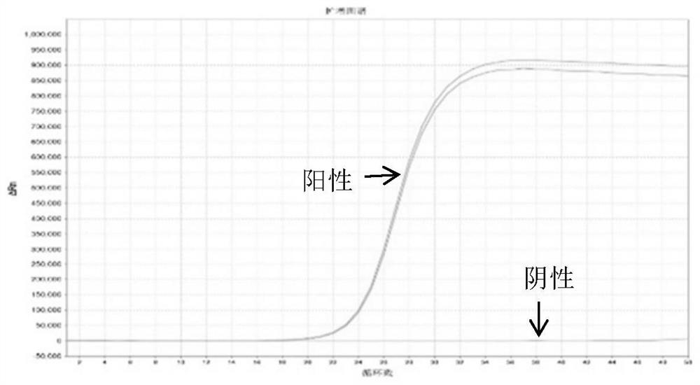 A multi-gene combined detection reagent