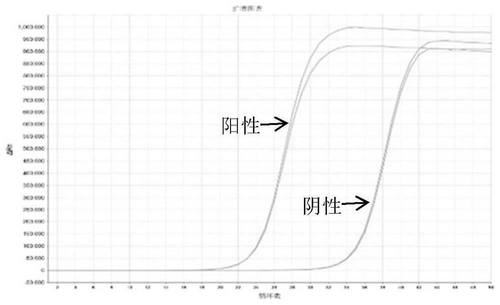 A multi-gene combined detection reagent