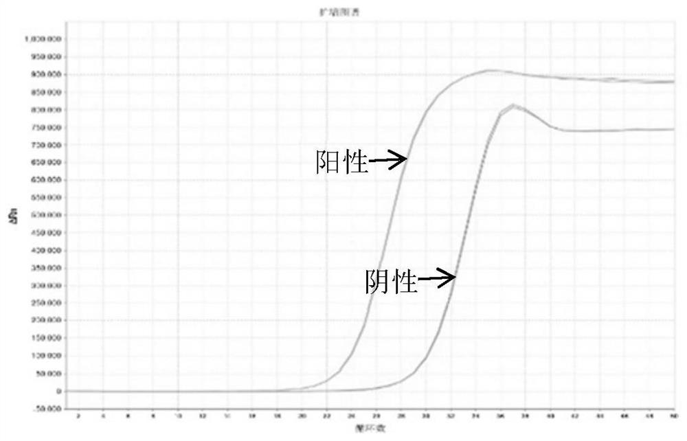 A multi-gene combined detection reagent