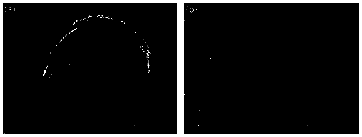 Cross-linking microspheres, and preparation method and application of injecting type chondrocyte composite body of cross-linking microspheres