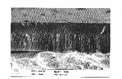 Preparation method of composite coating used for gas bearing