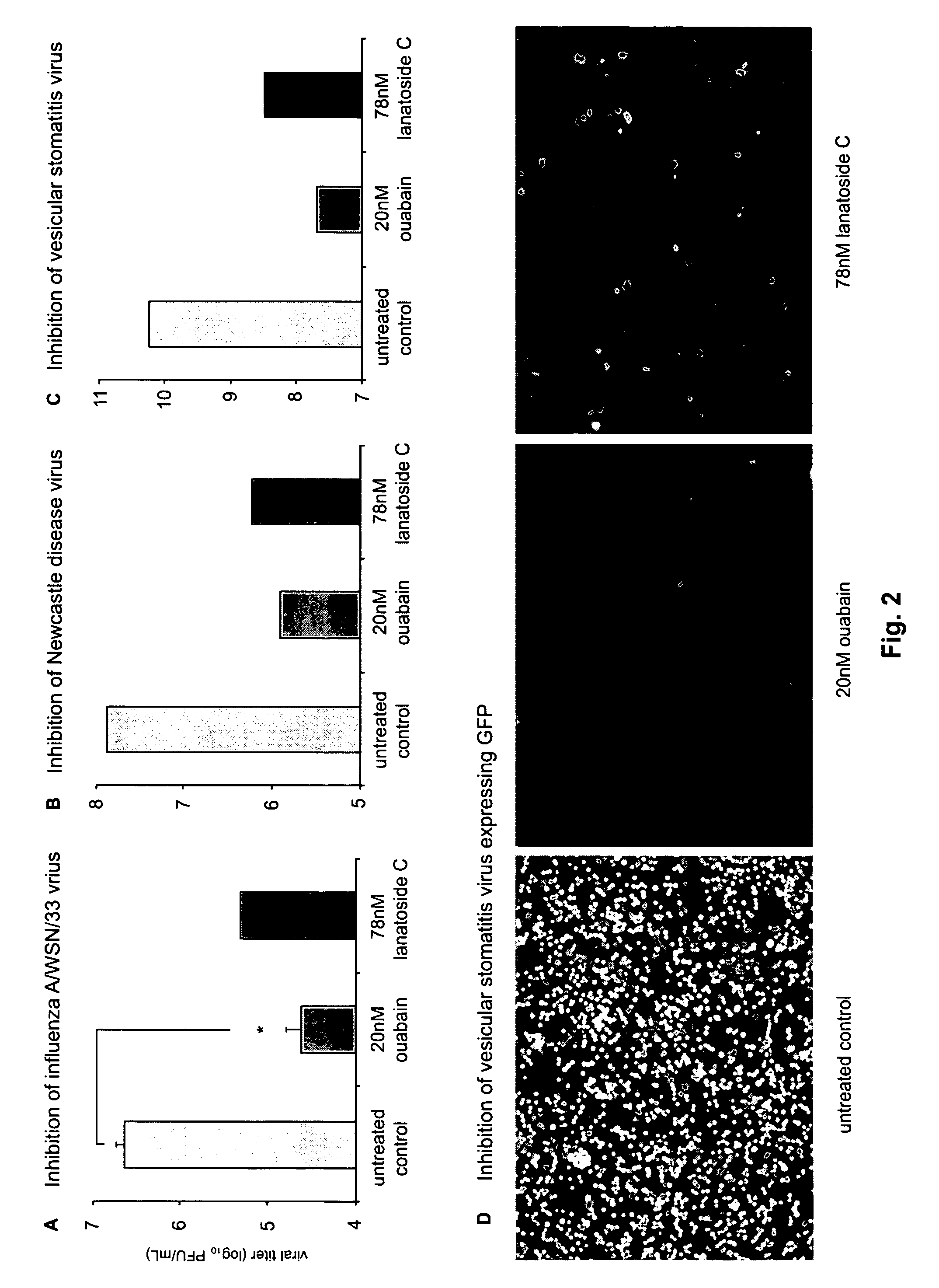 Compounds that modulate negative-sense, single-stranded RNA virus replication and uses thereof