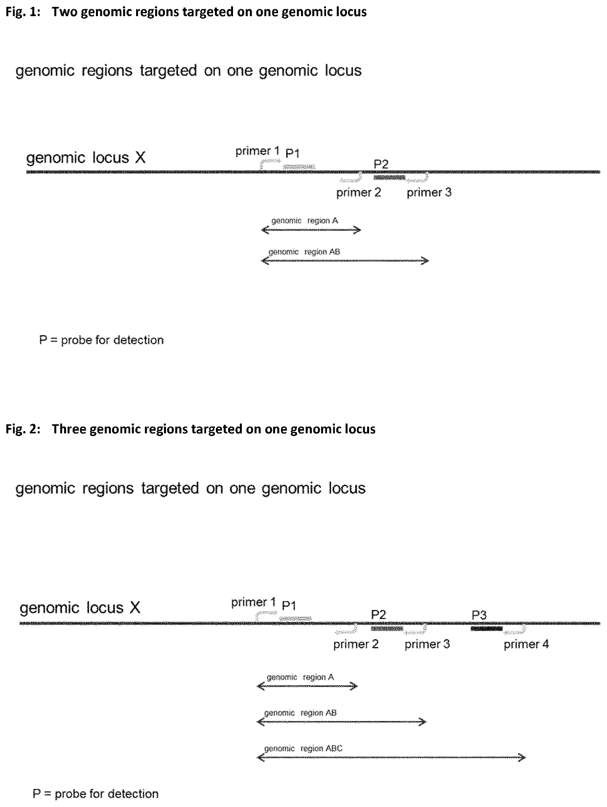 Method for determining nucleic acid degradation in a sample in which at least two overlapping amplicons are produced and two probes are used in the method