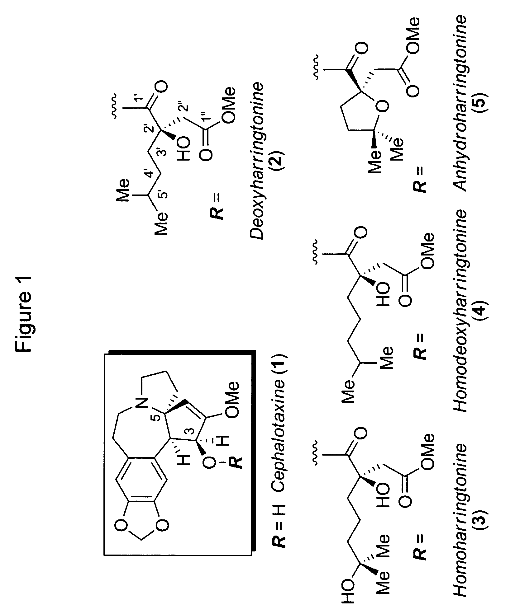 <i>Cephalotaxus </i>esters, methods of synthesis, and uses thereof