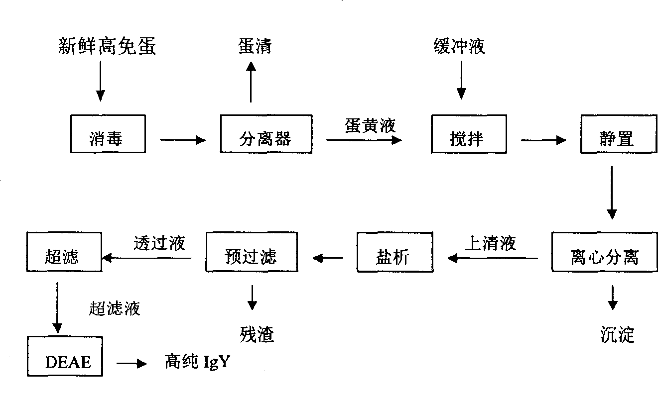 Production technique of immunoglobulin compounding agent capable of preventing and treating poultry respiratory disease