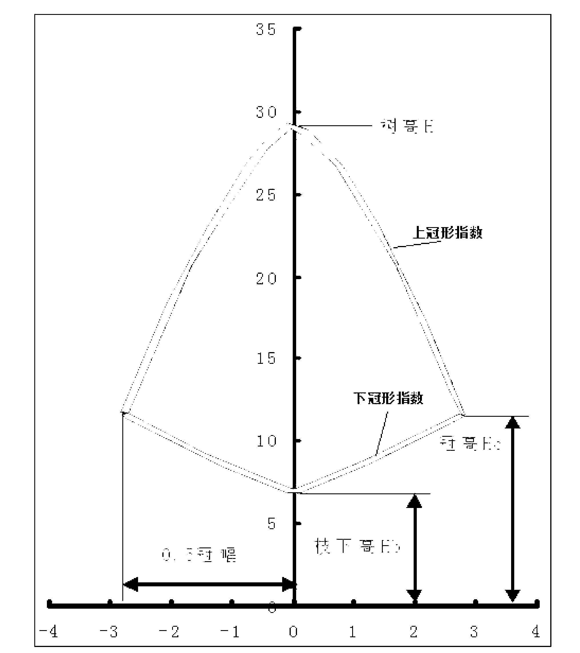 Method for rapidly acquiring tree morphological model parameters based on photogrammetry