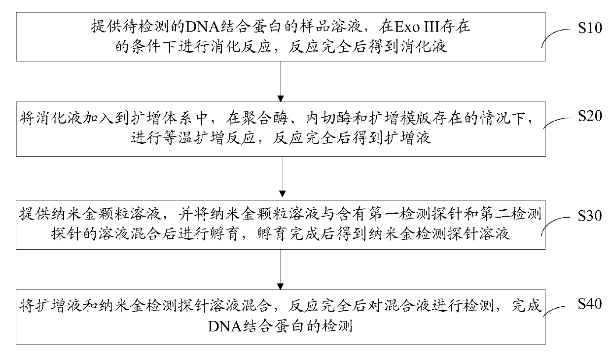 Method for detecting DNA (deoxyribonucleic acid) binding protein