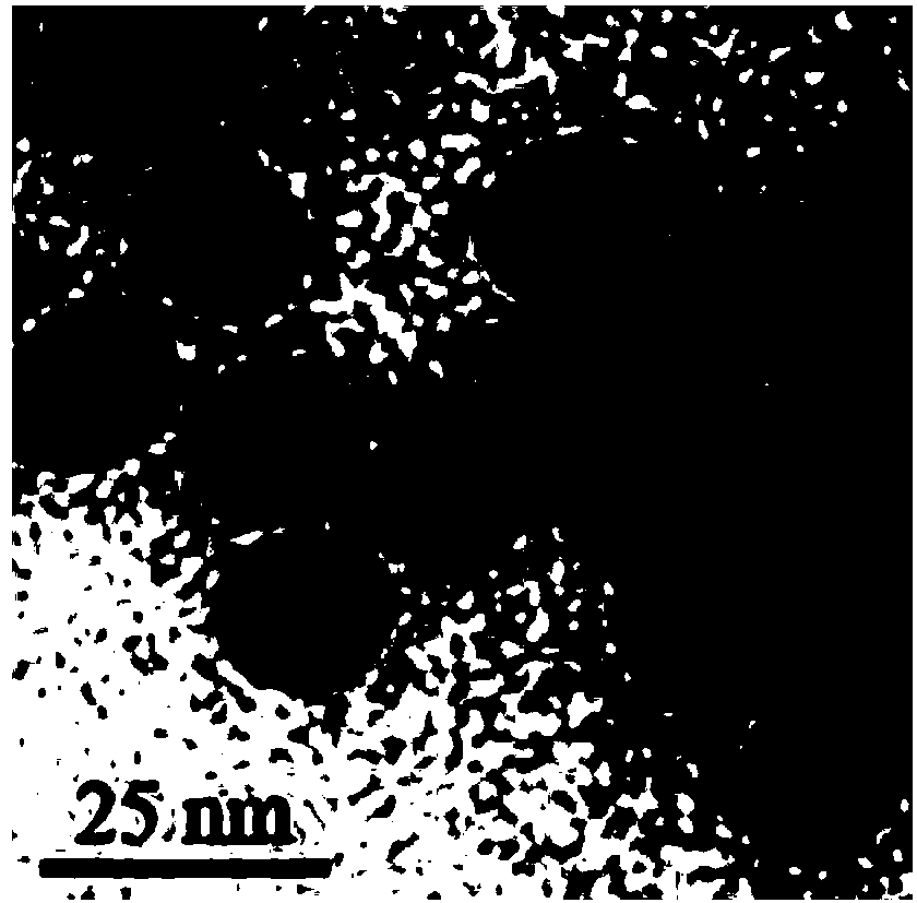 Method for detecting DNA (deoxyribonucleic acid) binding protein