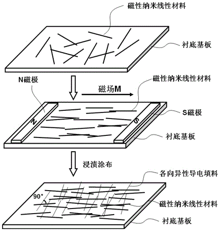 Magnetic field and application of magnetic nanowires in transparent conductive film as well as transparent conductive film and preparation method