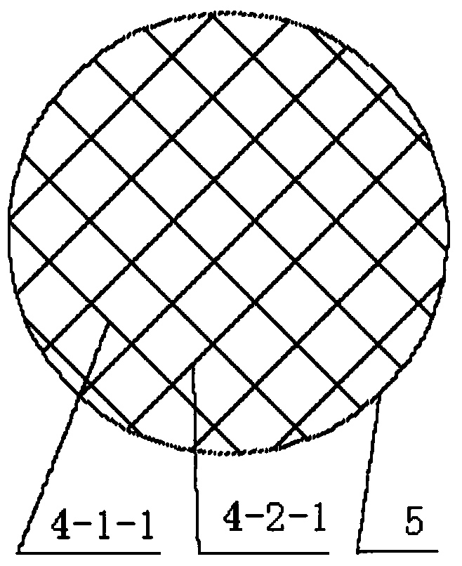 Flotation column enhanced separation device with packing structure and separation method