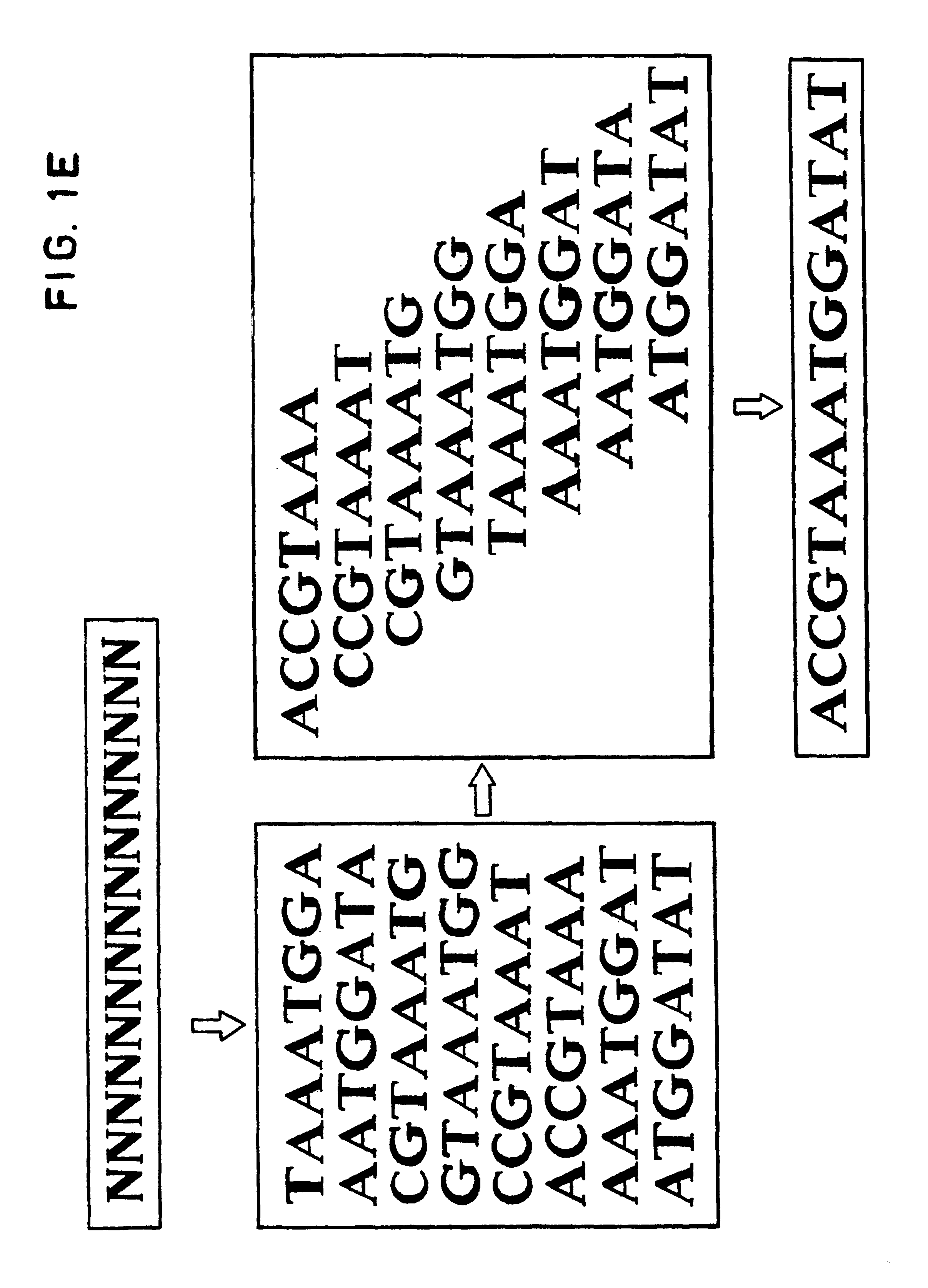 Computer-aided analysis system for sequencing by hybridization