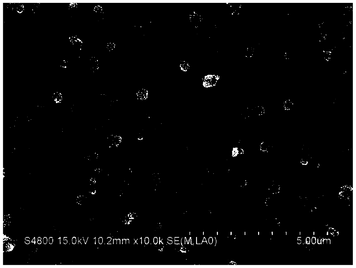 A self-supporting graphene film/polyaniline@polyaniline hierarchical structure composite electrode, preparation method and application