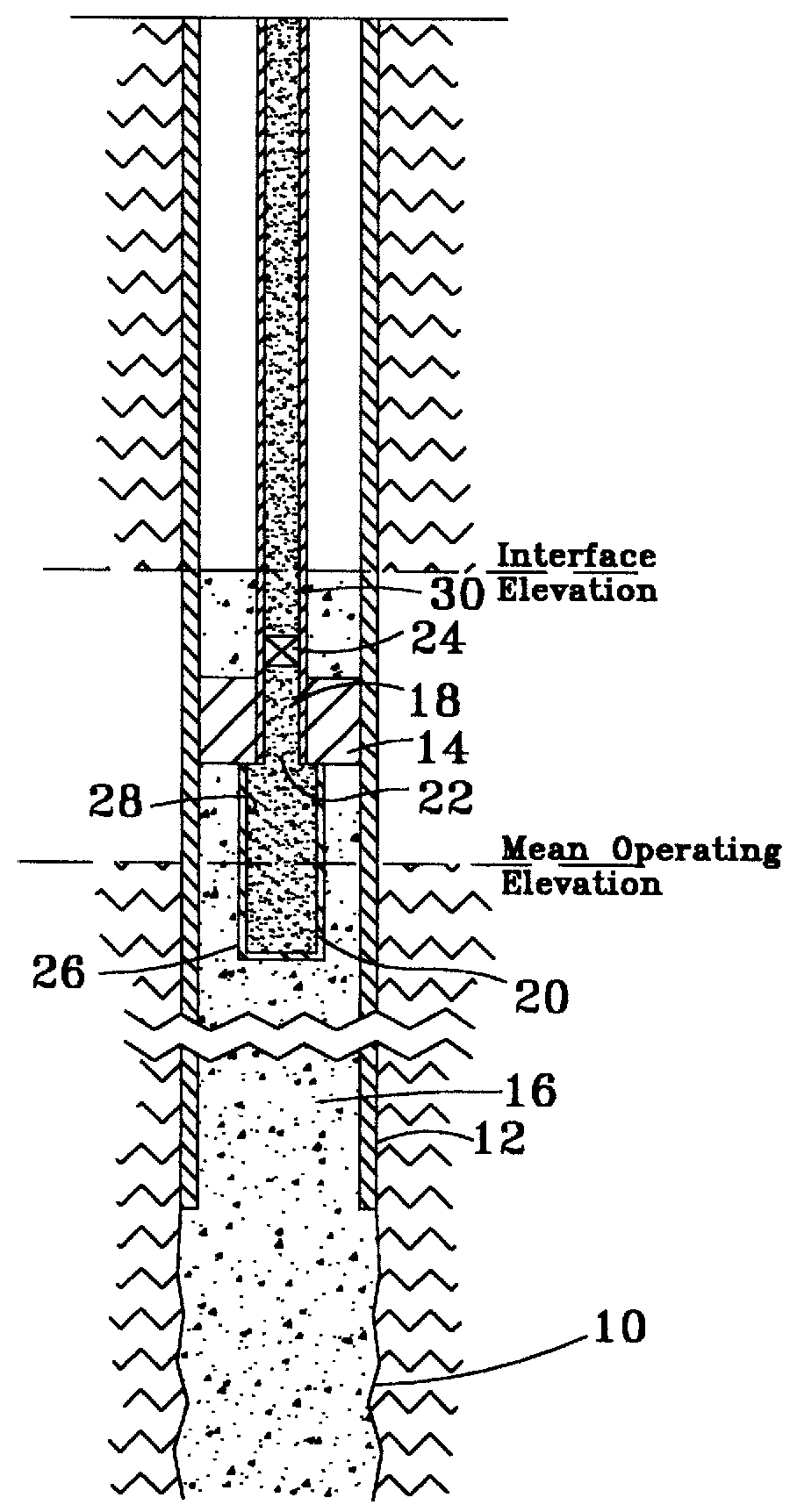 Downhole hydrocarbon separator and method