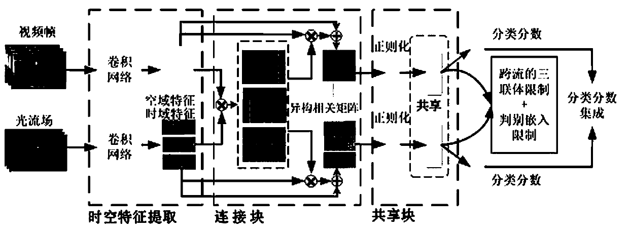 Video action classification and recognition method based on double-flow collaborative network