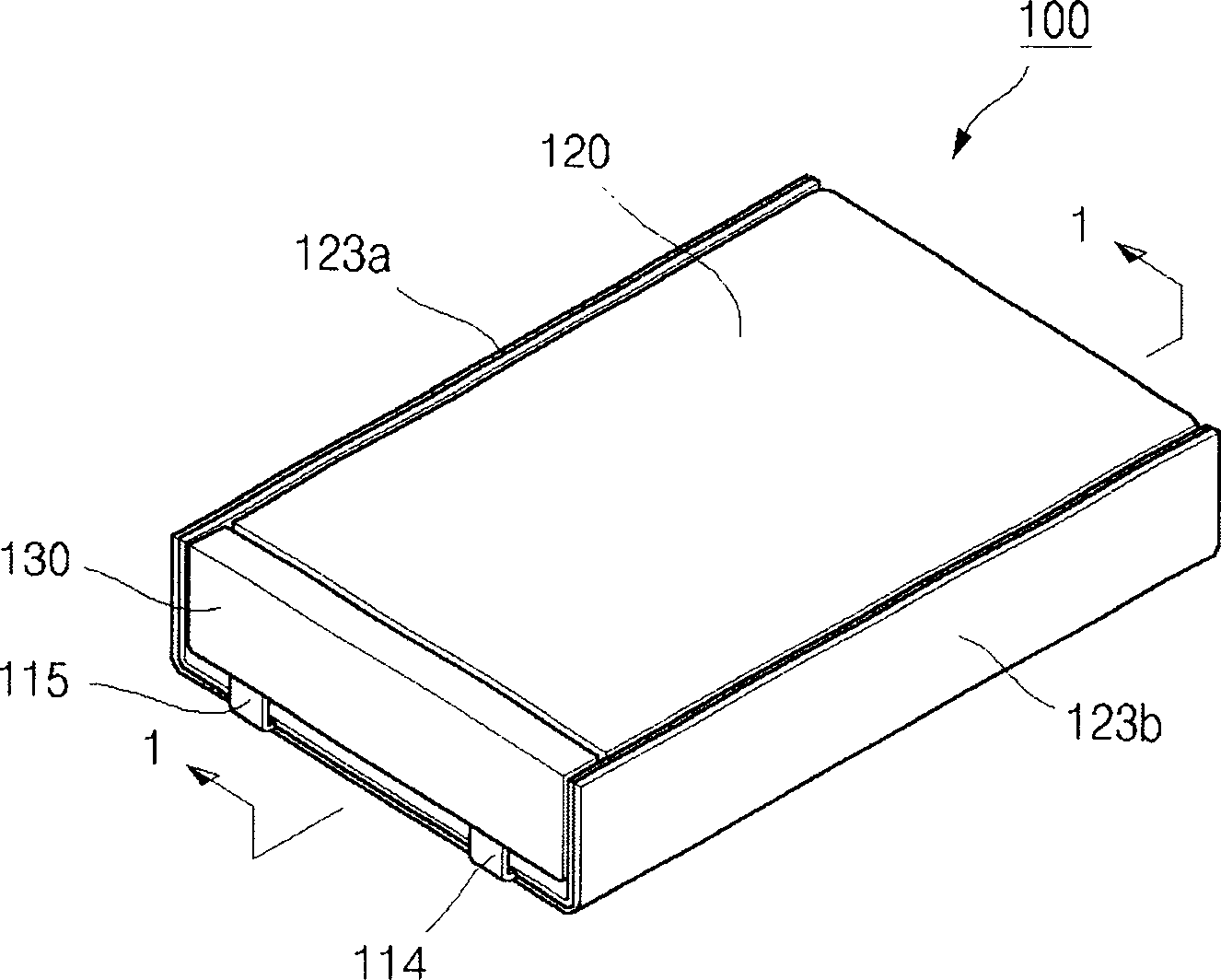 Bag type lithium integrated battery and its manufacture