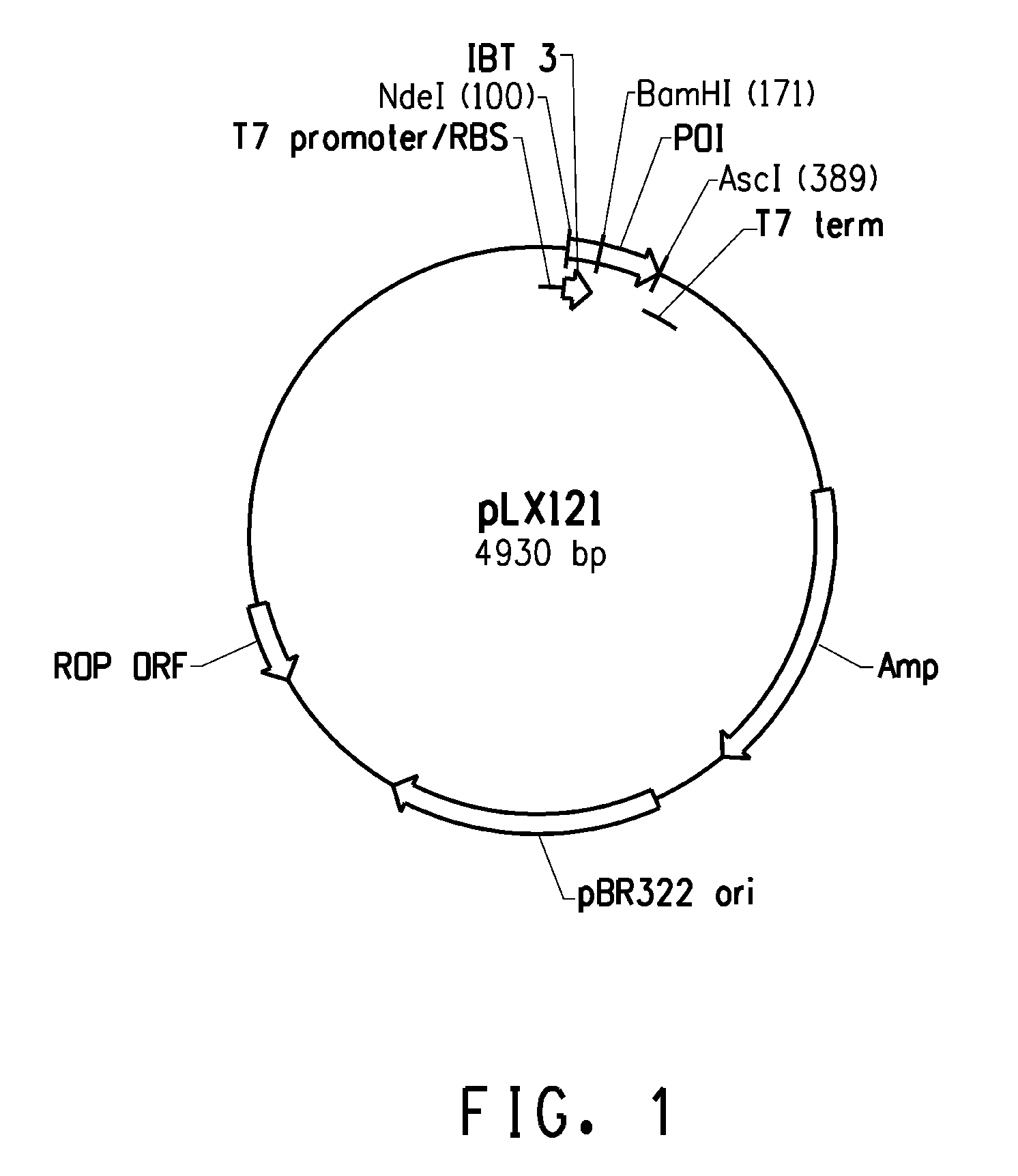 Recombinant peptide production using a cross-linkable solubility tag
