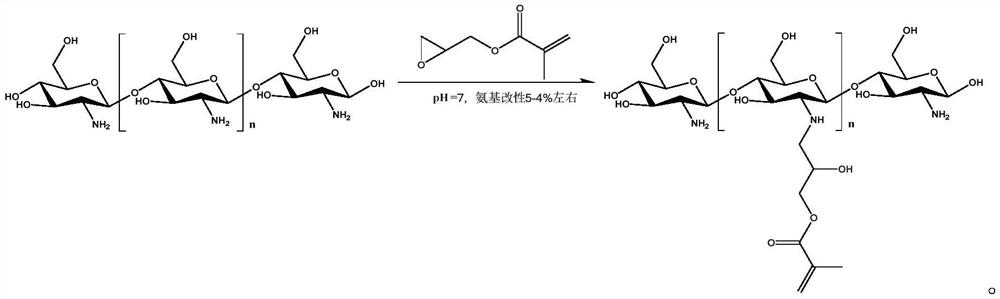 Chitosan hydrogel and preparation method, antiviral spray, antiviral liquid gloves