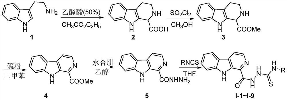 Pityriacitrin alkaloid derivative containing acylthiourea structure as well as preparation method and application of pityriacitrin alkaloid derivative