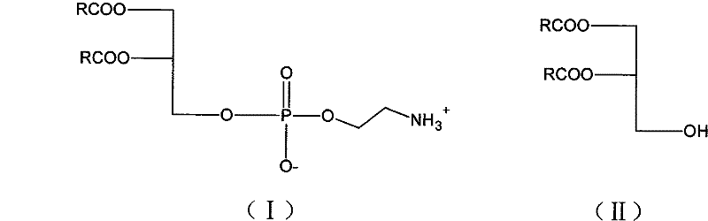 Novel method for synthesizing bi-axungia acyl-phosphatidylethanolamine