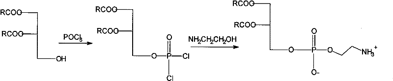 Novel method for synthesizing bi-axungia acyl-phosphatidylethanolamine