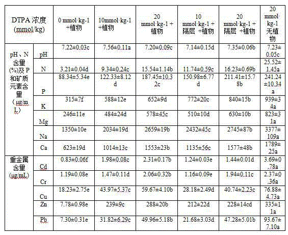 Method for remediation of sludge leacheate heavy metals by use of lolium perenne