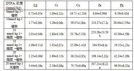 Method for remediation of sludge leacheate heavy metals by use of lolium perenne