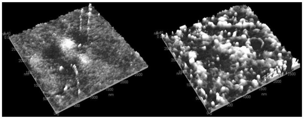 A kind of polyethylene antibacterial film and its preparation method and application