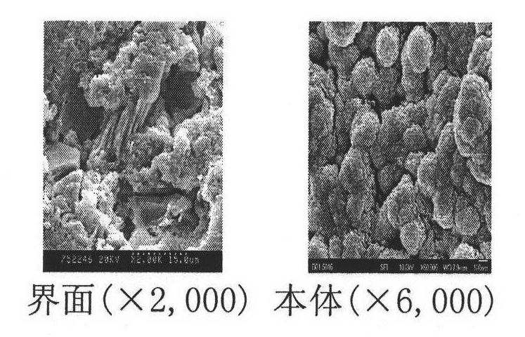 Multi-functional nanometer oil well cement slurry