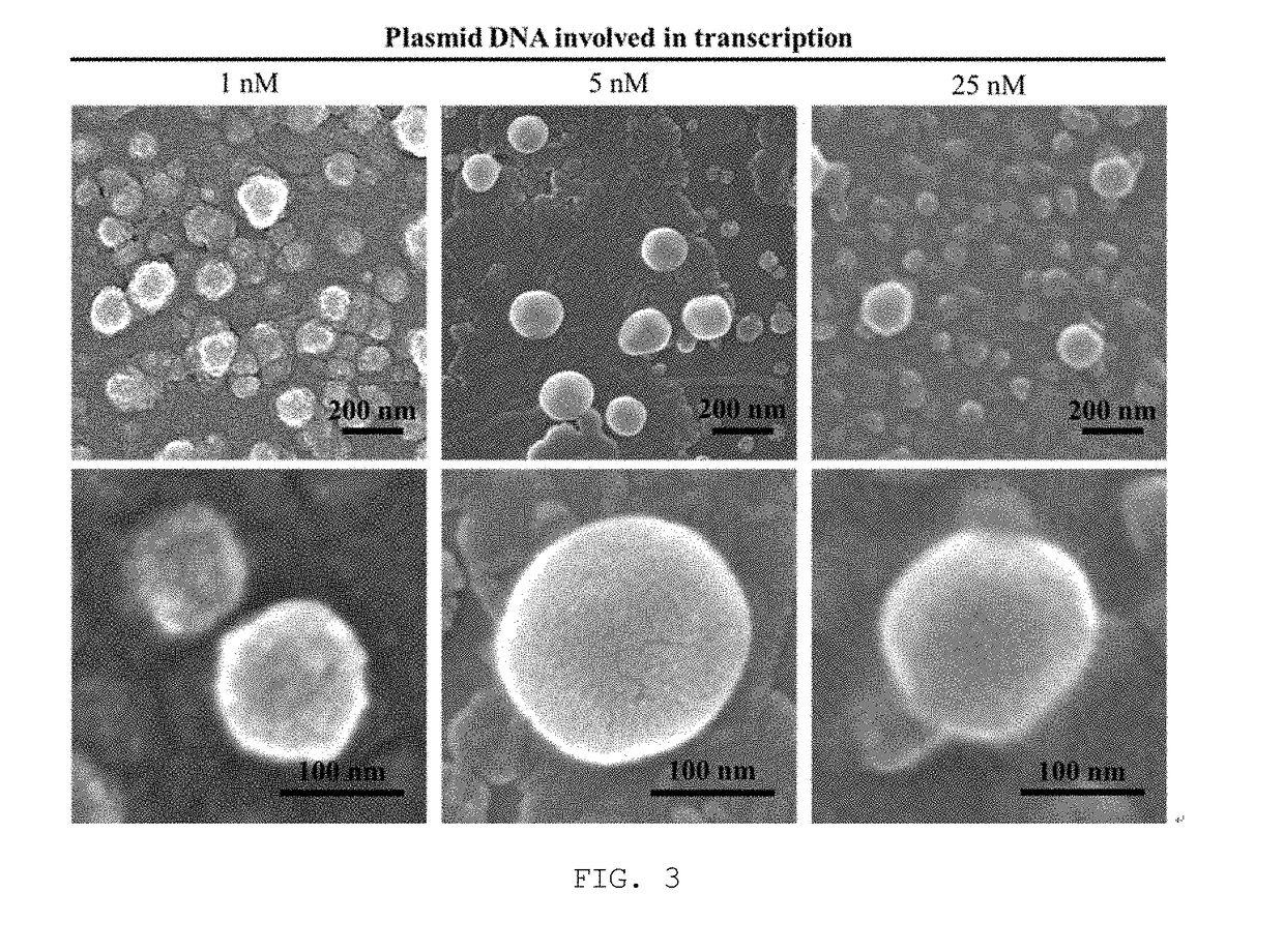 Messenger RNA nanoparticles and preparation method therefor