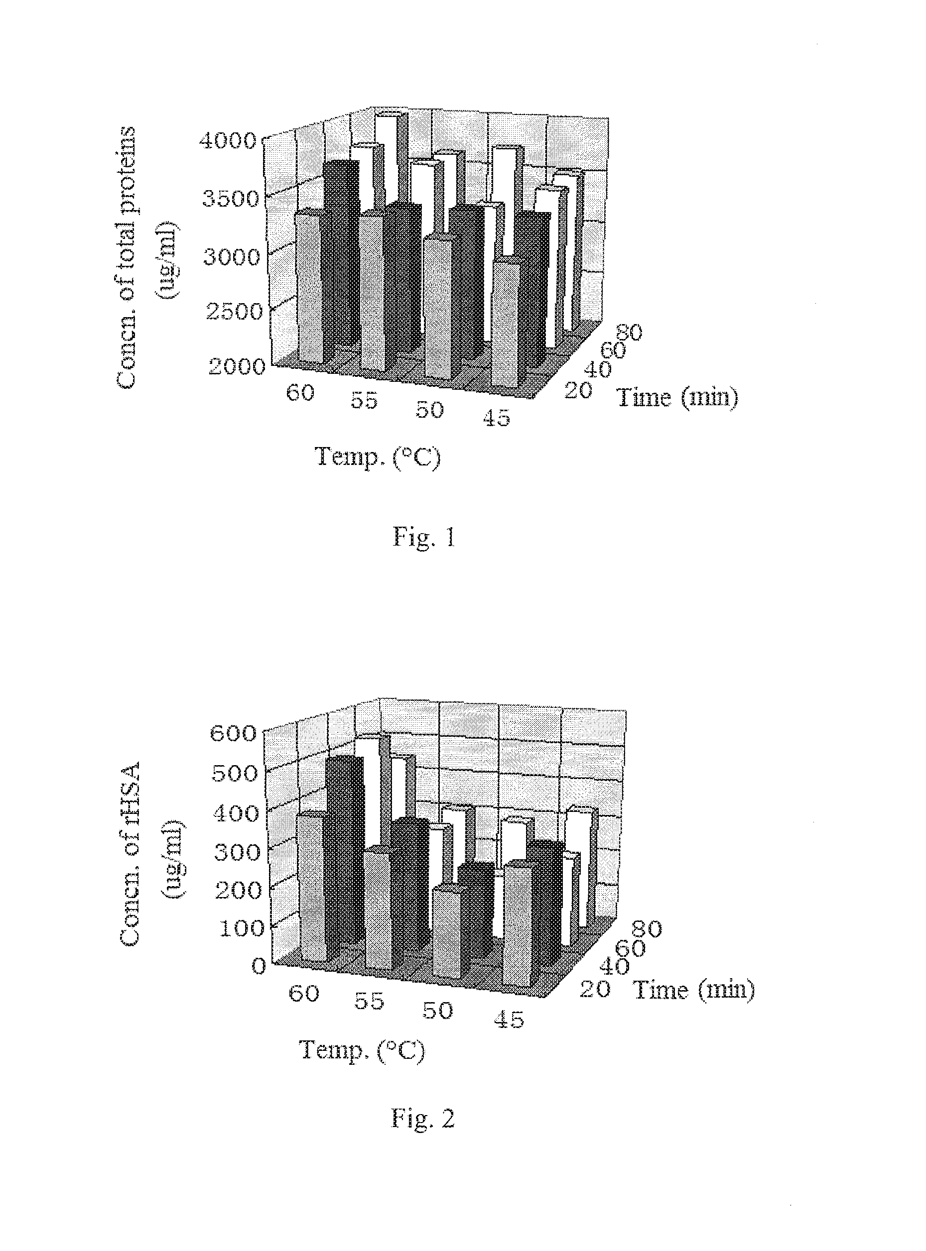 Method for extracting recombinant human serum albumin from transgenic rice grain