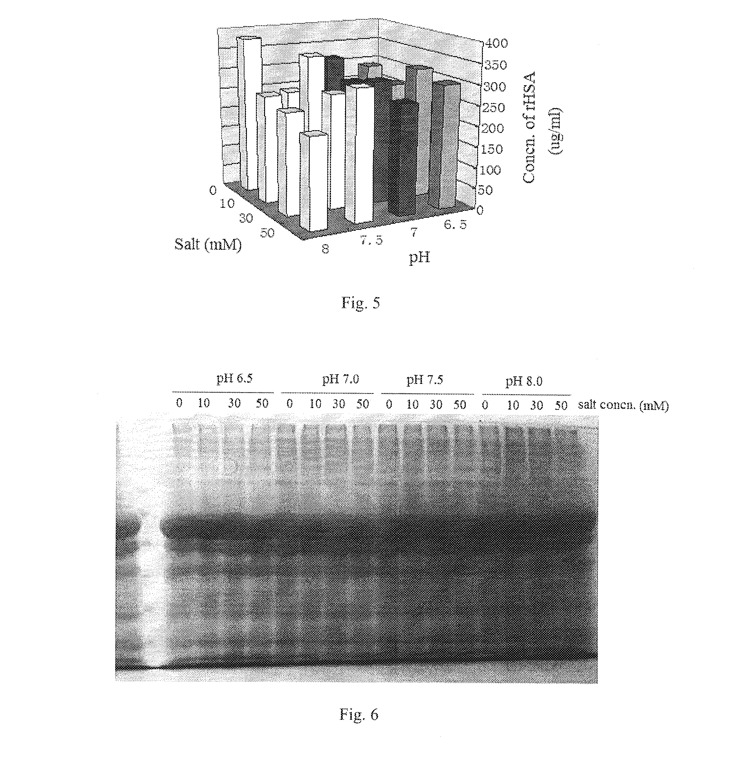 Method for extracting recombinant human serum albumin from transgenic rice grain