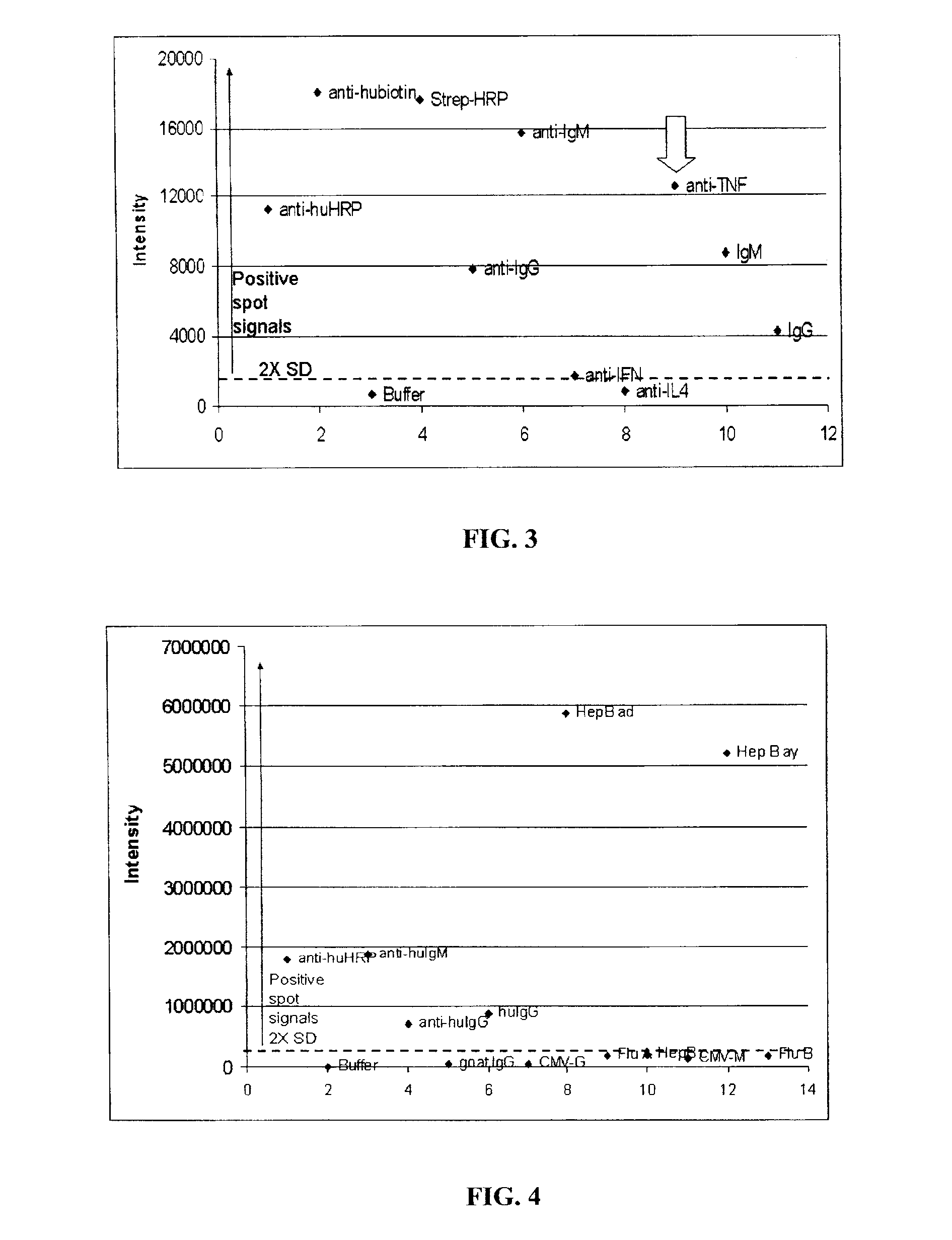 Assay Membrane and Method of Use Thereof