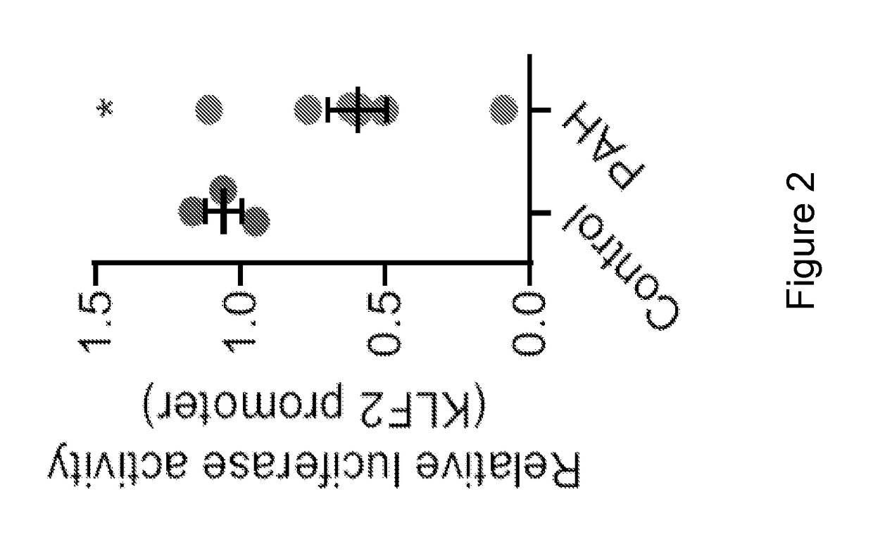 Compositions and methods of inhibiting histone deacetylases