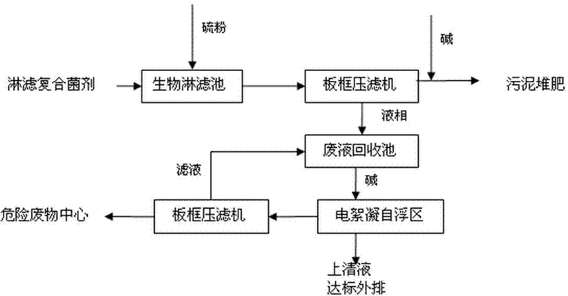 Process for removing heavy metal from sludge of sewage treatment plants