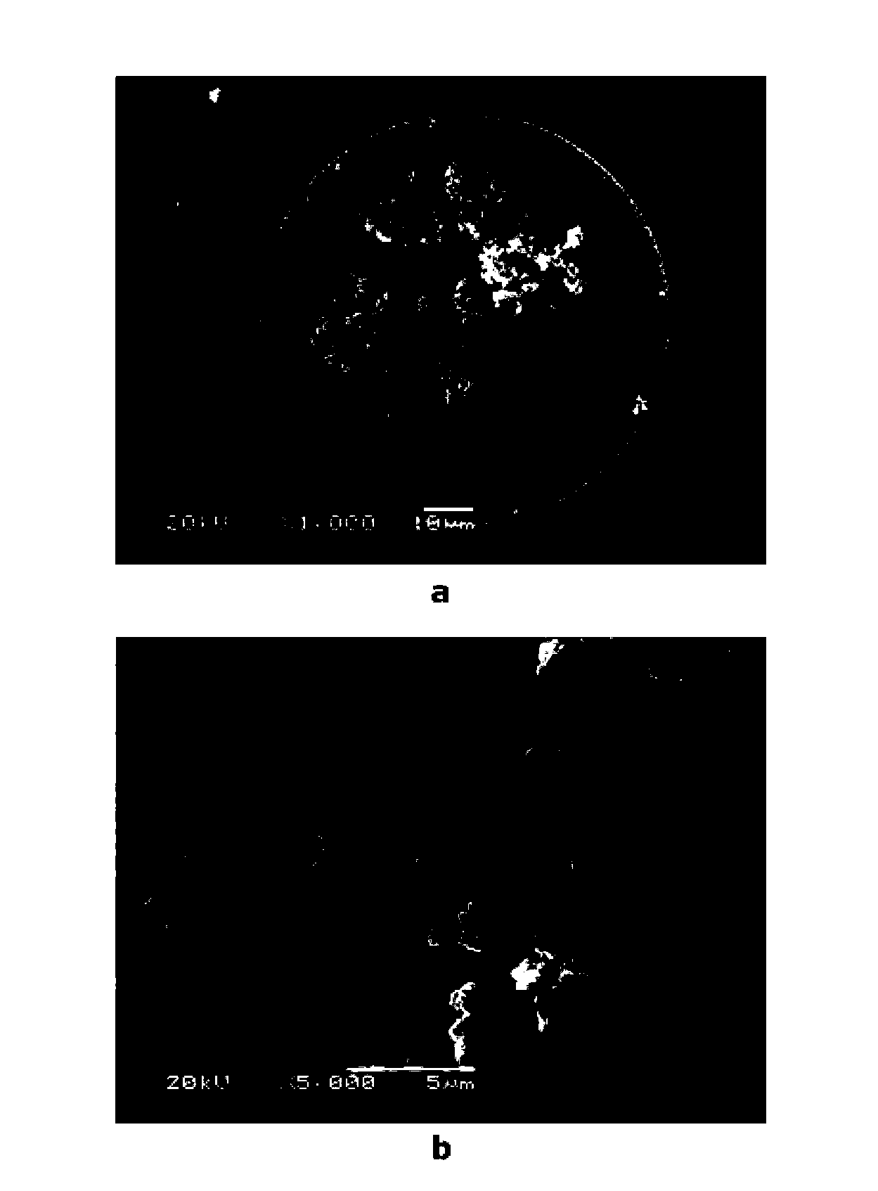Amide monolithic column for enriching glycopeptide based on hydrophilic interaction mechanism and preparation and application method thereof