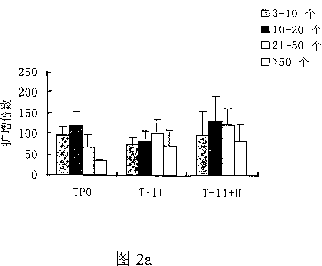 Method for preparing megakaryocytic preparation by amplifying macronucleus ancestral cell and mature megacaryocyte and use