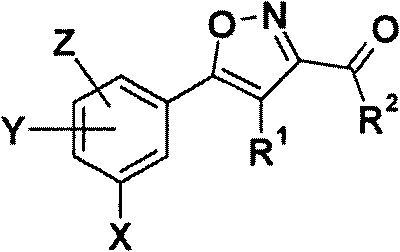 5-phenyl-isoxazole-3-carboxamides modulating HSP90 with antitumoral activities