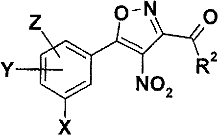 5-phenyl-isoxazole-3-carboxamides modulating HSP90 with antitumoral activities