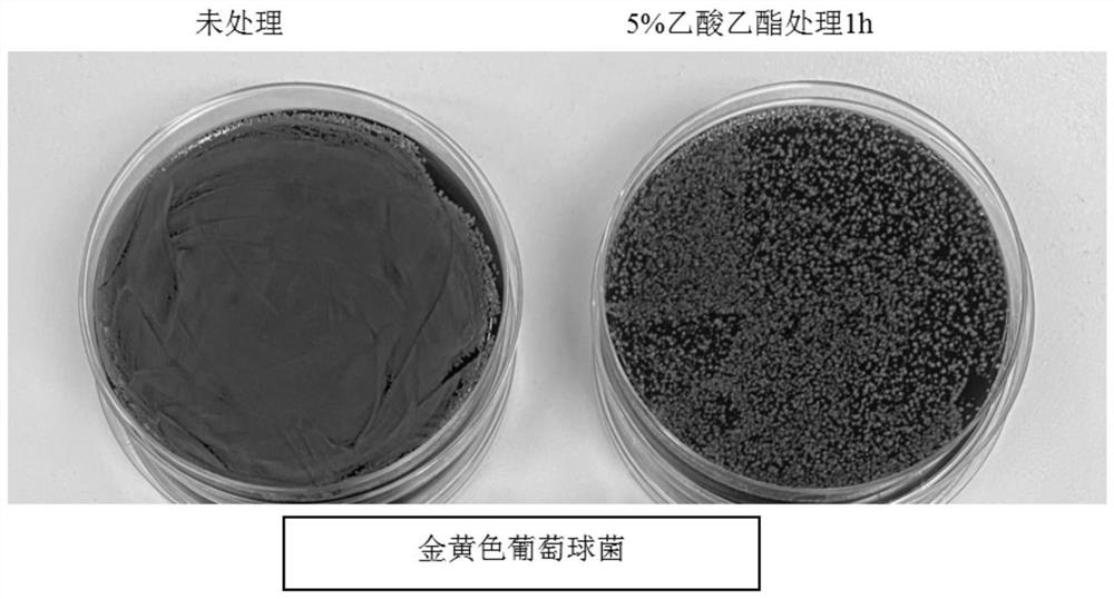 Inactivation reagent for enveloped viruses and pathogenic bacteria and application of inactivation reagent