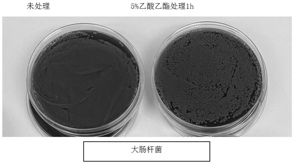 Inactivation reagent for enveloped viruses and pathogenic bacteria and application of inactivation reagent