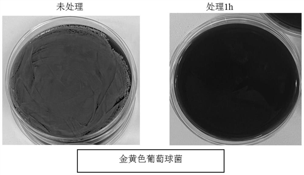 Inactivation reagent for enveloped viruses and pathogenic bacteria and application of inactivation reagent