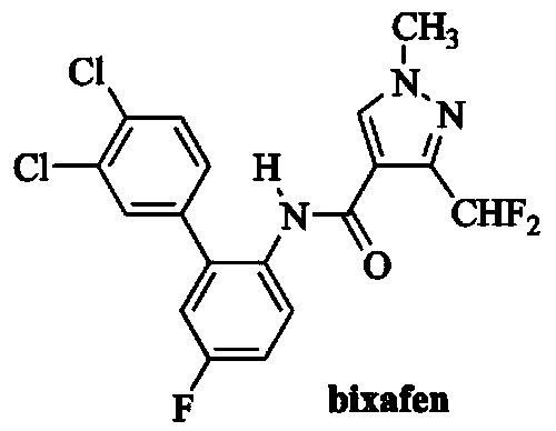 Composite synergic sterilization composition containing bixafen and difenoconazole and application thereof